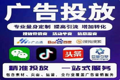 百度竞价与搜索引擎优化（SEO）结合的经典案例
